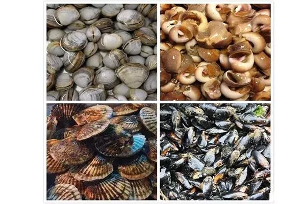 營(yíng)口鲅魚圈海鮮市場(chǎng)哪個(gè)好 附開(kāi)海后海鮮價(jià)格