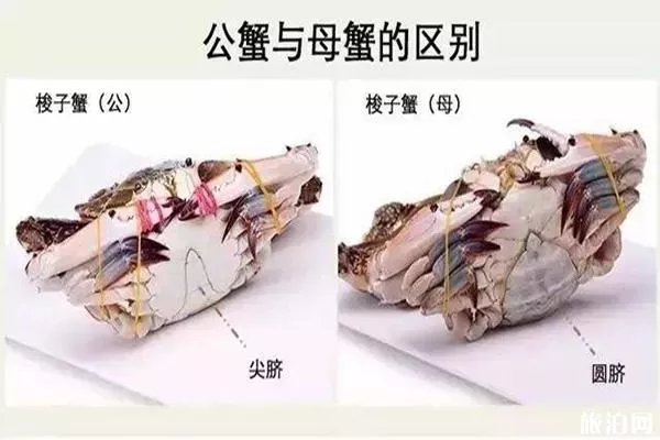 營(yíng)口鲅魚圈海鮮市場(chǎng)哪個(gè)好 附開(kāi)海后海鮮價(jià)格
