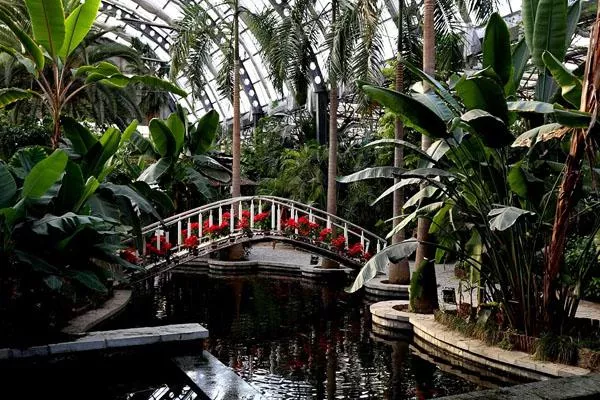 2022天津熱帶植物觀(guān)光園門(mén)票多少錢(qián) 附最新開(kāi)放時(shí)間及地址
